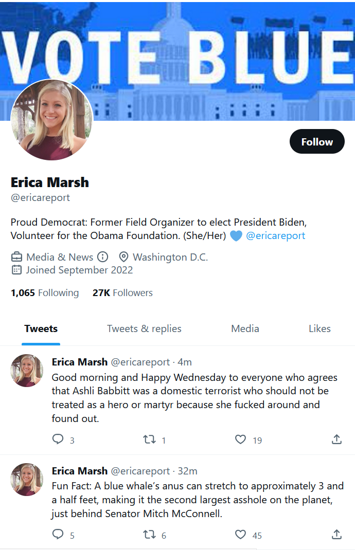Erica Marsh Twitter ericareport 2023-07-02 jMhb
