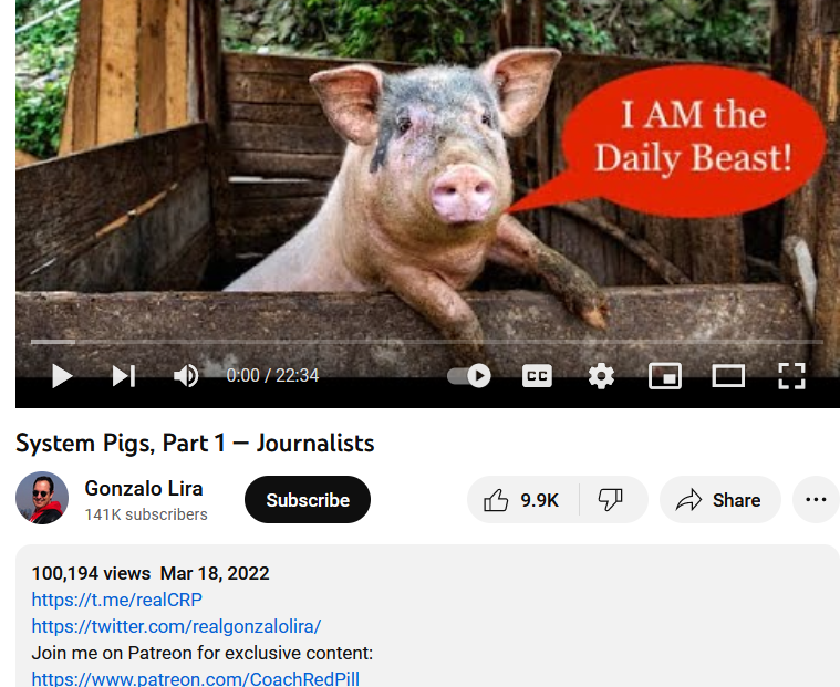 Gonzalo Lira System Pigs Part 1 Journalists 3wm5