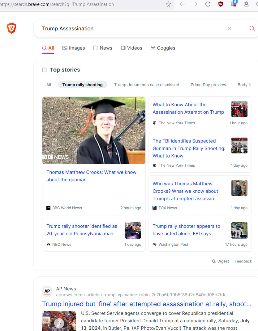 brave search news problem 2024-07-15