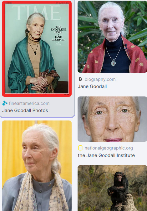 jane goodall Fn8q