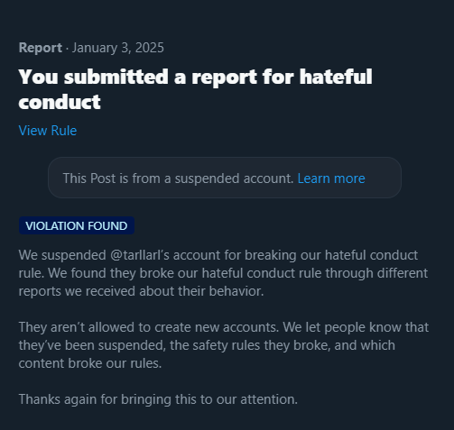 twitter x hateful report 2025-01-03 025259