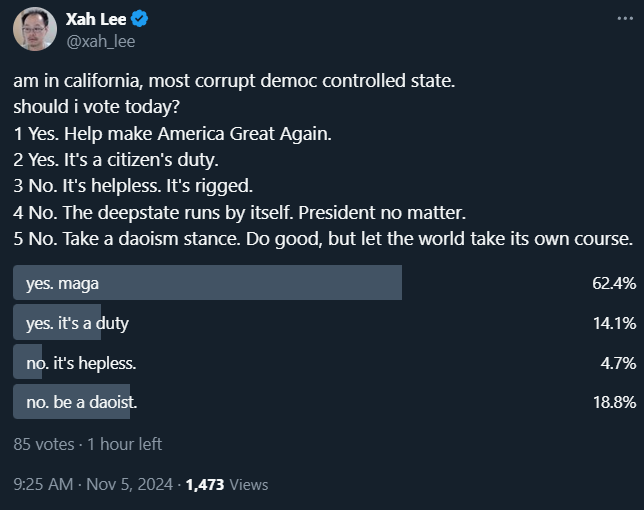 xah lee should i vote 2024-11-06 072853