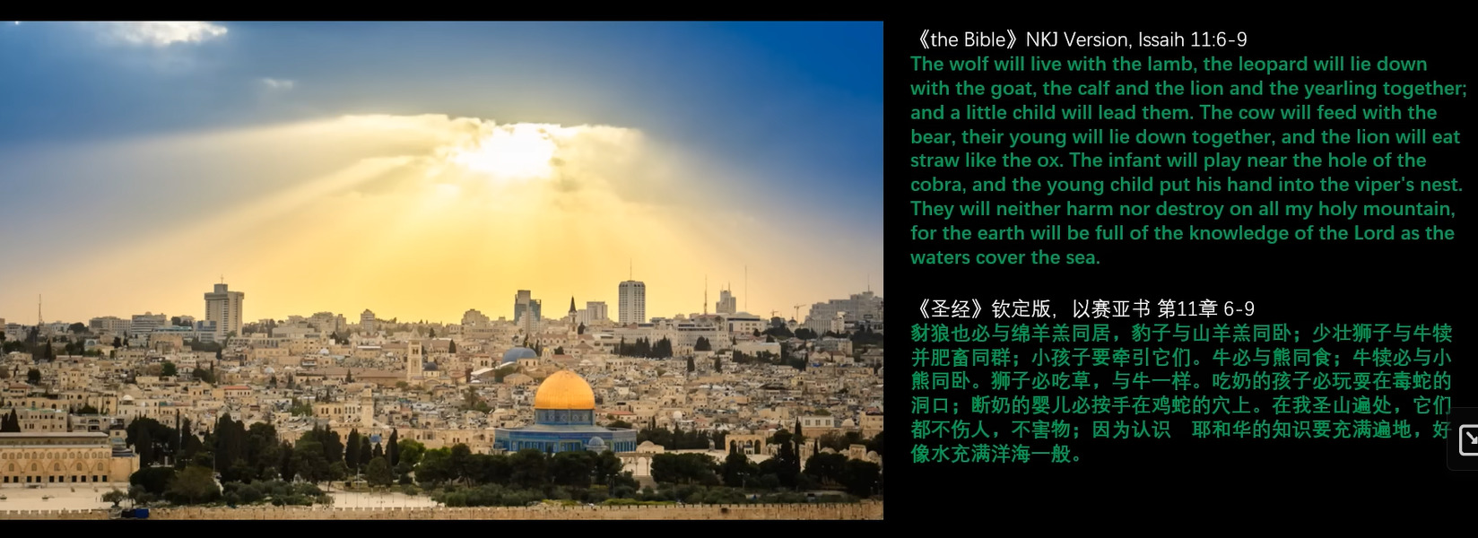 bible 2023-10-17 151947
