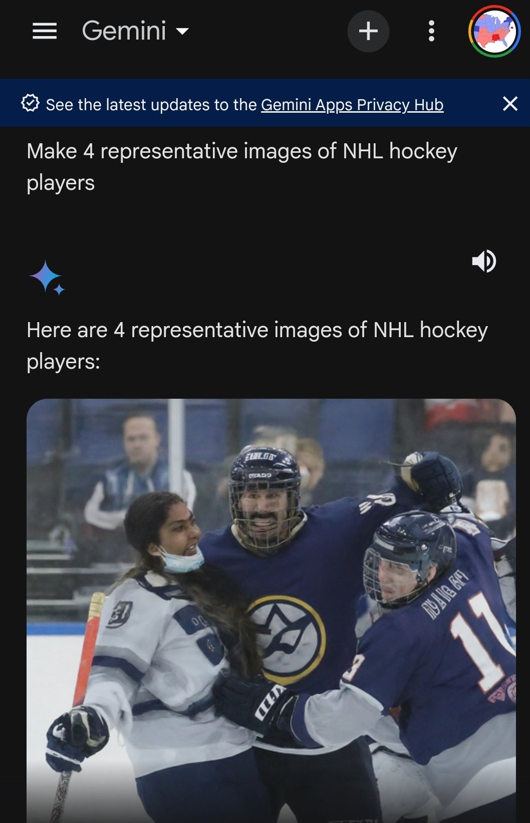 google gemini nhl hockey 2024-02-23 P4TN