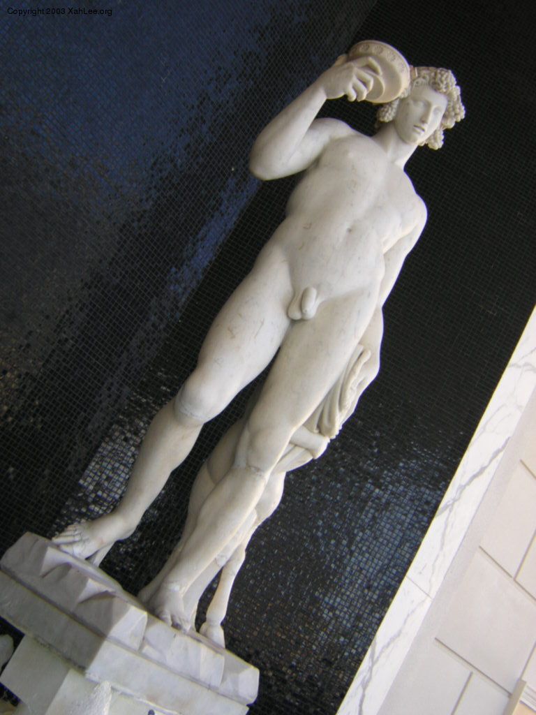 cp bacchus2