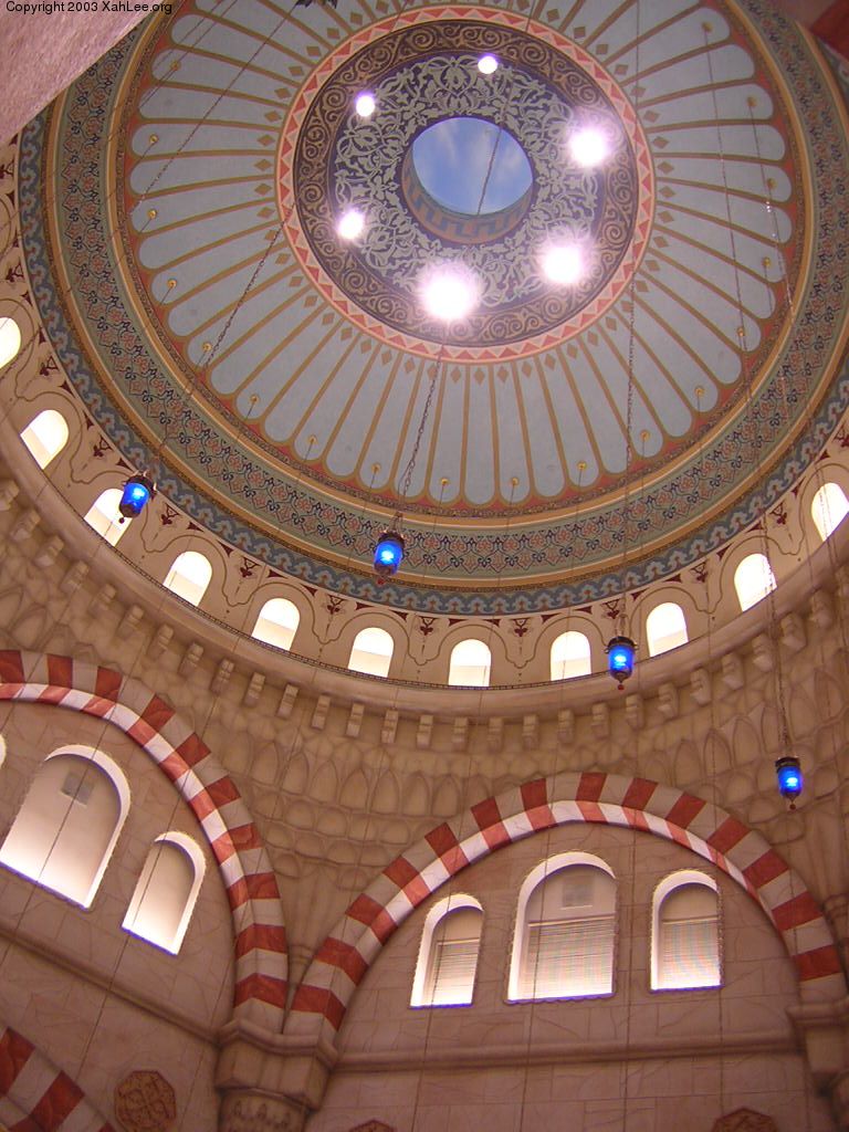 ald ceiling1