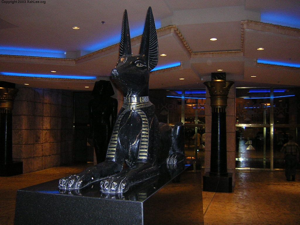 luxor dog