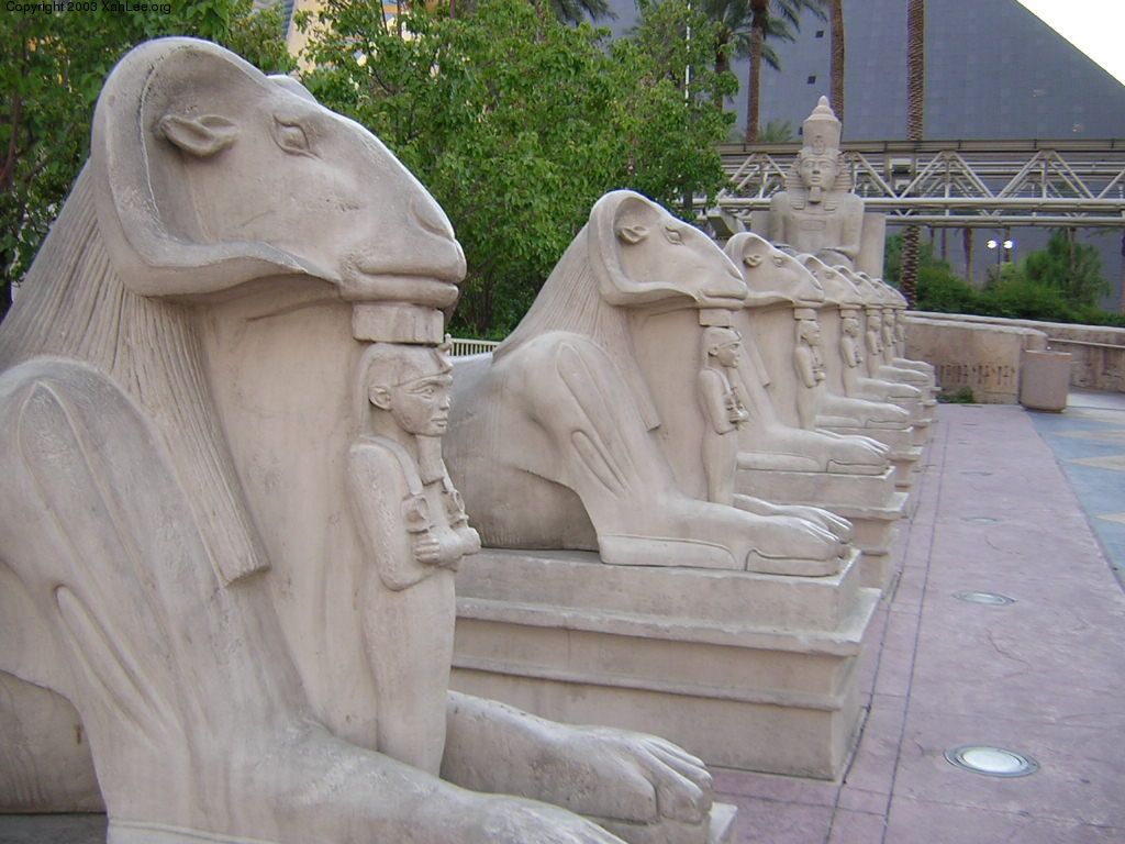 luxor goat