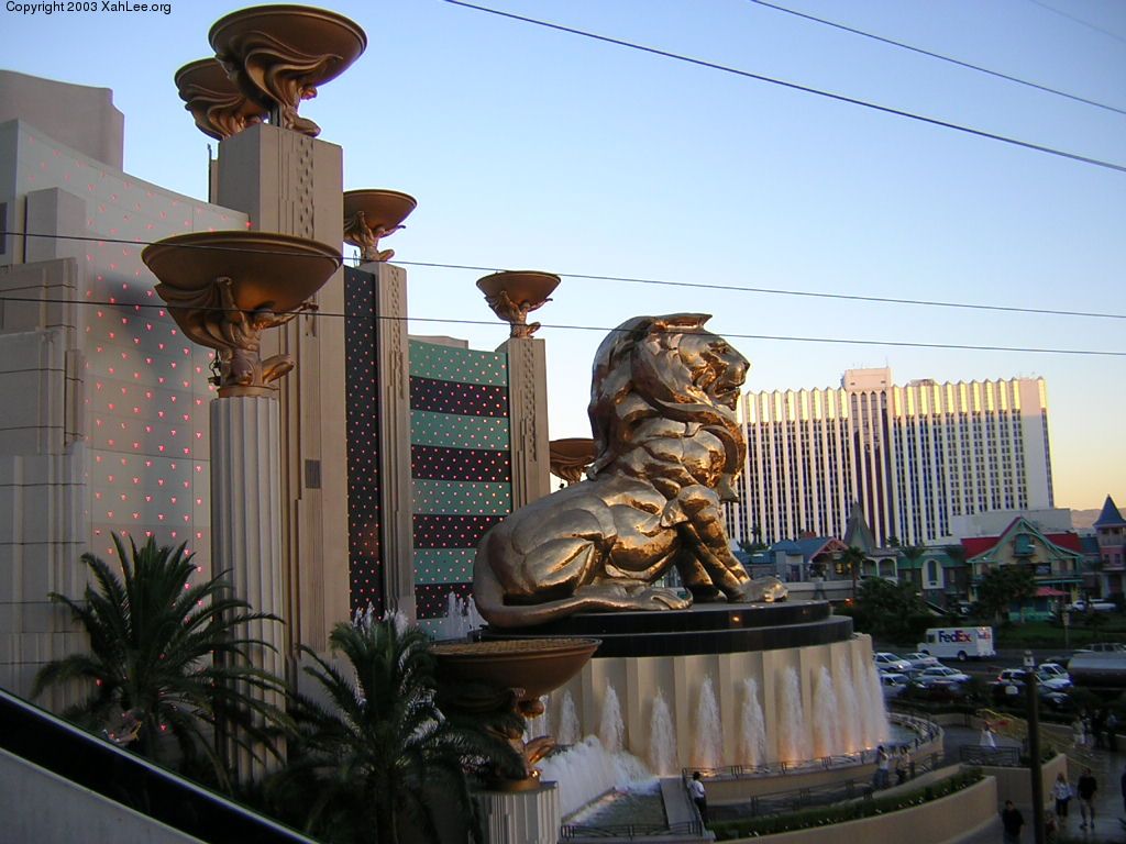 mgm lion