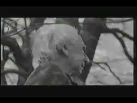 vidthumb ylcVyleo9aA