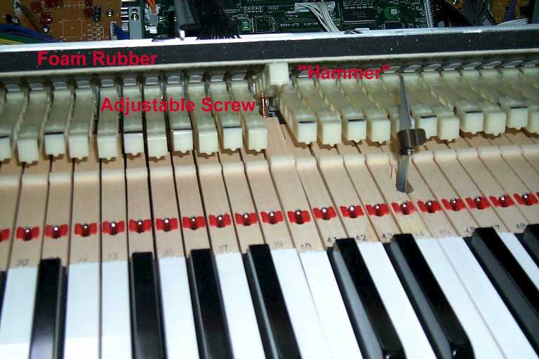 kawai mp9000 action label