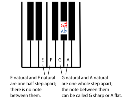 piano keys sharp flat 82864