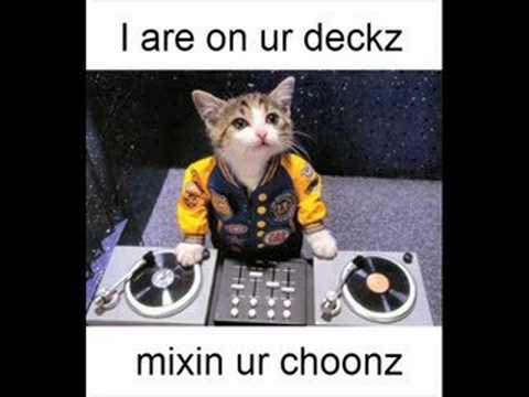 vidthumb iizMFFkutAY