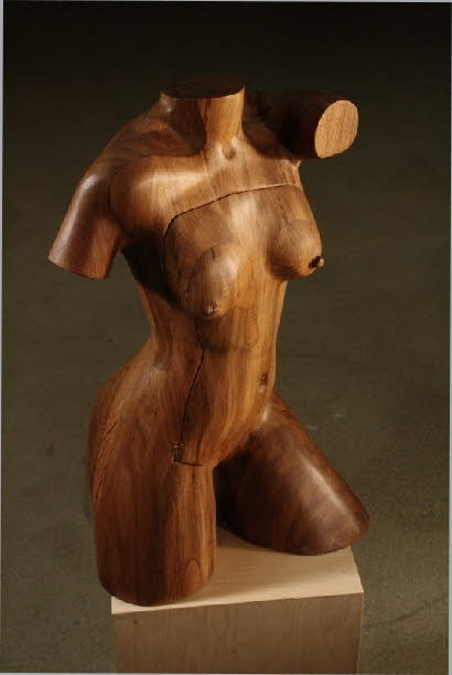 torso cupboard