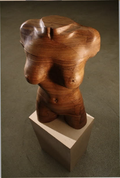 torso twist