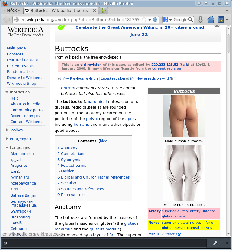 Wikipedia buttocks screenshot 2008-01-01