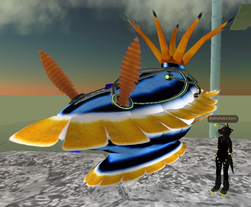 nudibranch 100