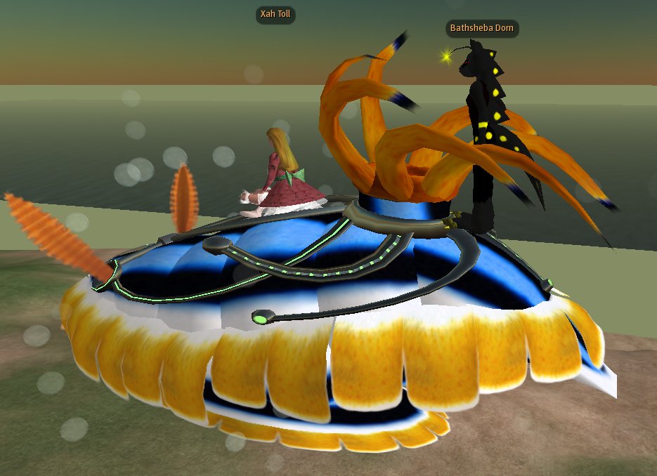 nudibranch 87