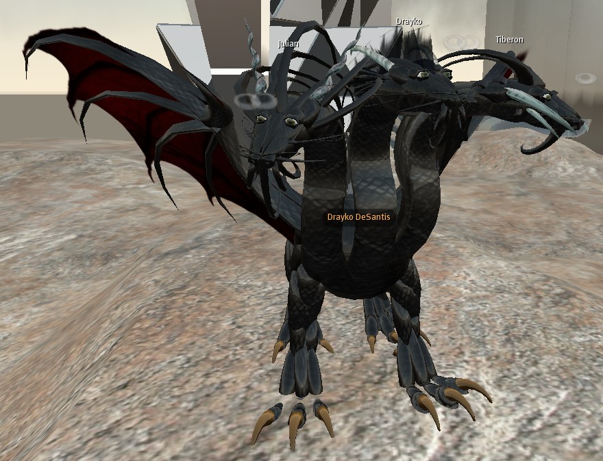 dragon 23