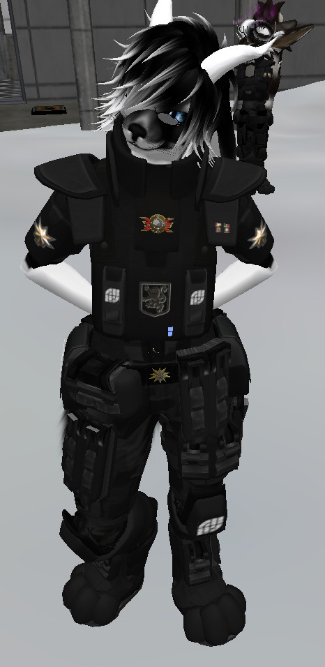 furry soldiers 013