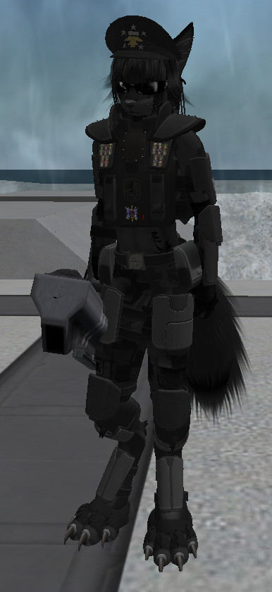 furry soldiers 019
