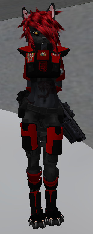 furry soldiers 022