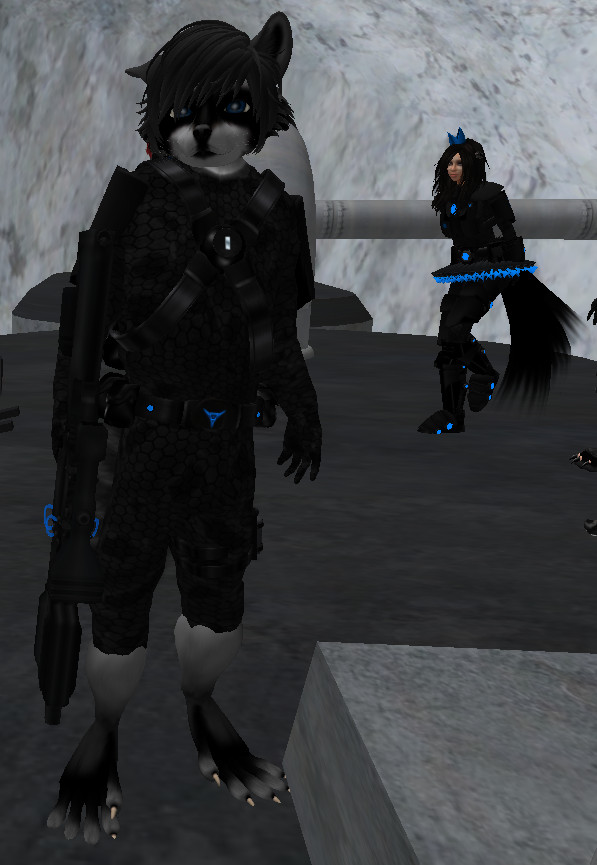 furry soldiers 024
