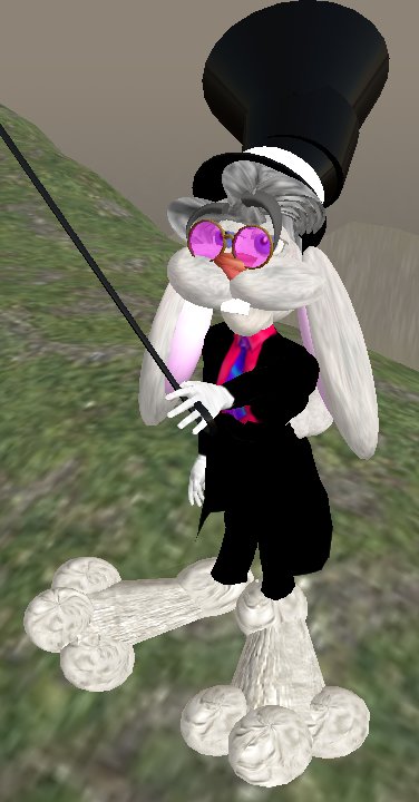 rabbit toon