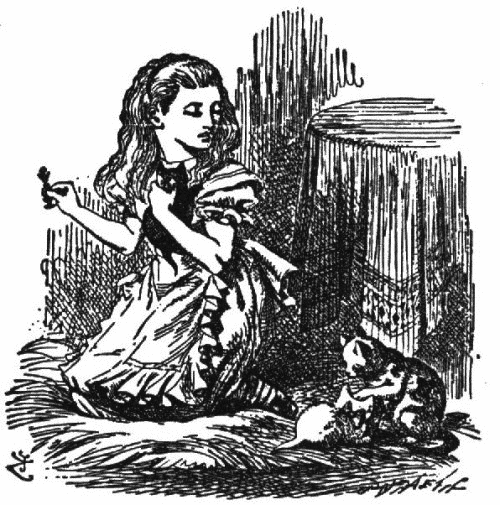 Alice talking to kittens