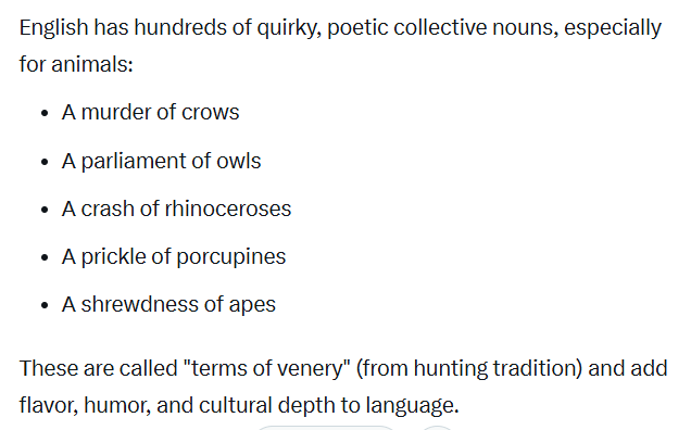 collective noun 2025-11-30 13a41