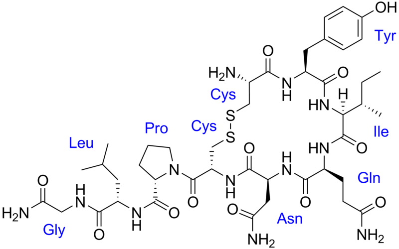 Oxytocin molecule formula