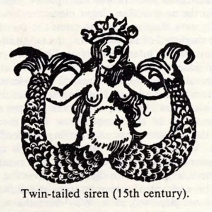 Starbucks twin tailed siren 1500s woodcut