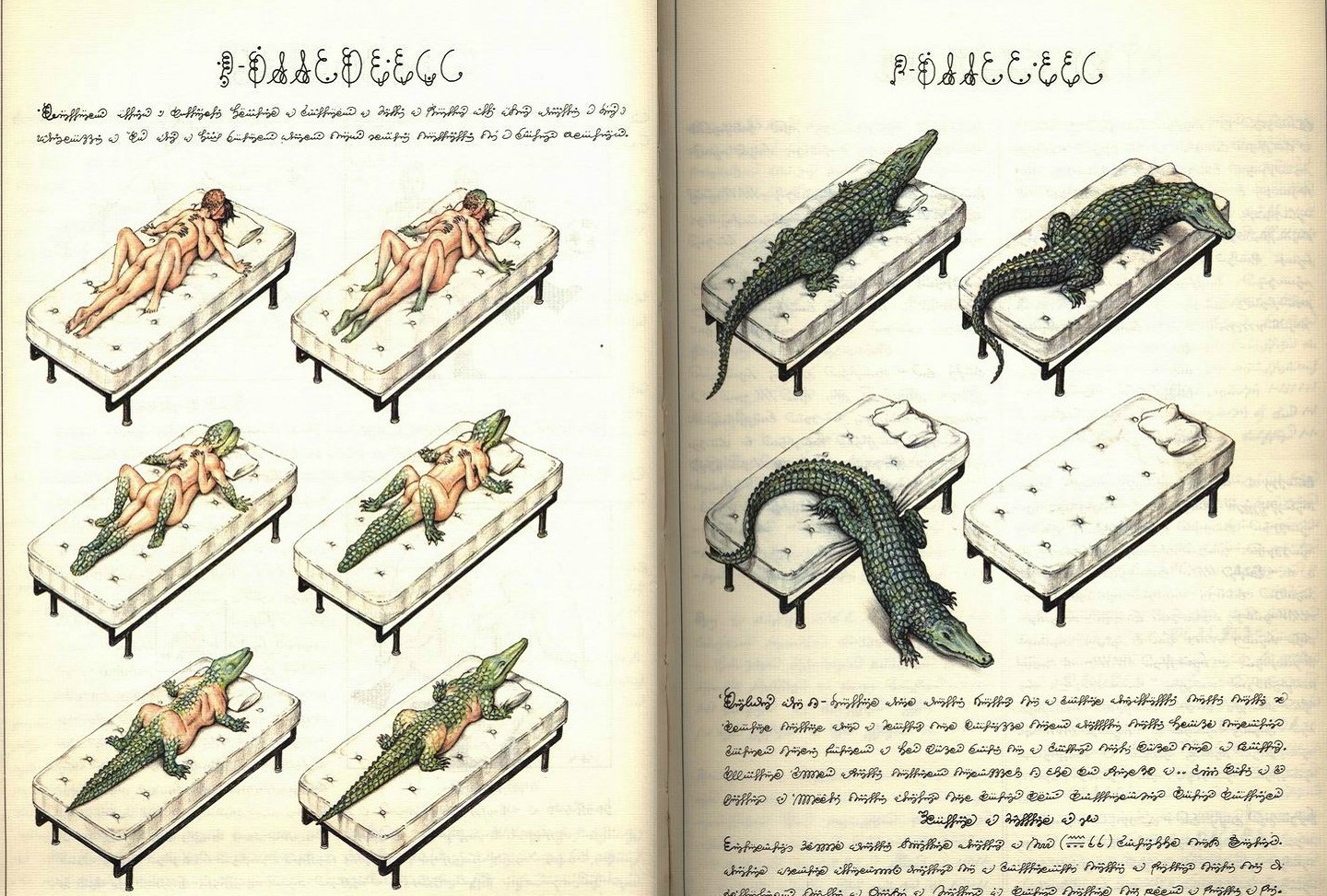 crocodile sex codex