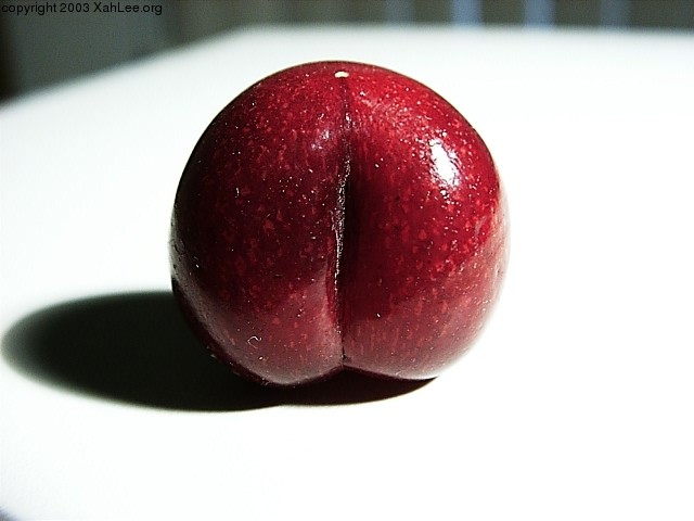 cherry2-m