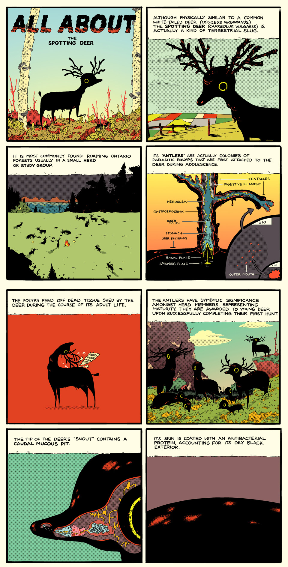 wtdsd 1 spotting deer by Michael DeForge 2010