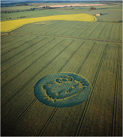Hello Kitty crop circle
