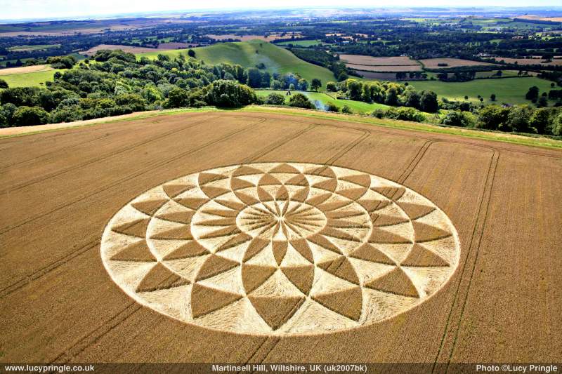 avalon crop circle