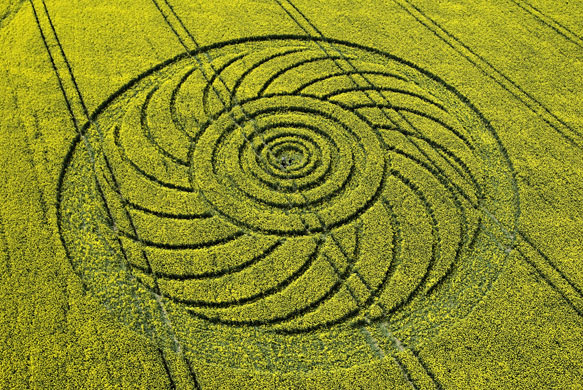 crop-circle-006