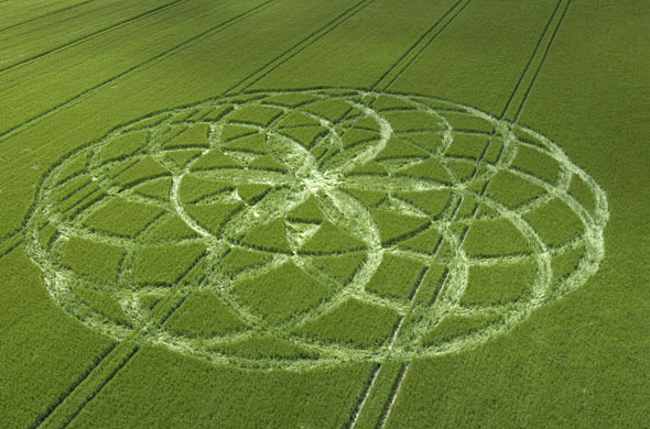 crop-circle-010