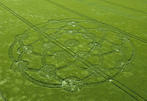 crop-circle-011