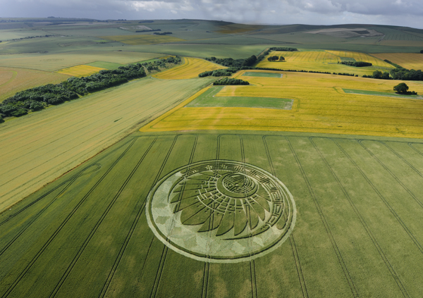 crop circle Silbury Hill 20090705 2