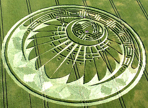 crop circle Silbury Hill 20090705 3