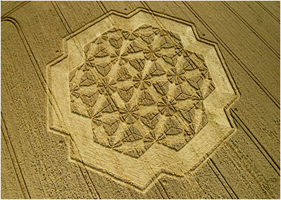 crop circle west overton 07