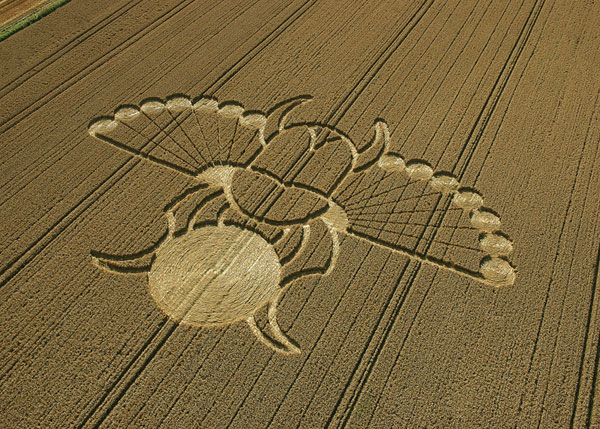 crop circle 050821 wiltshire east field alton barnes