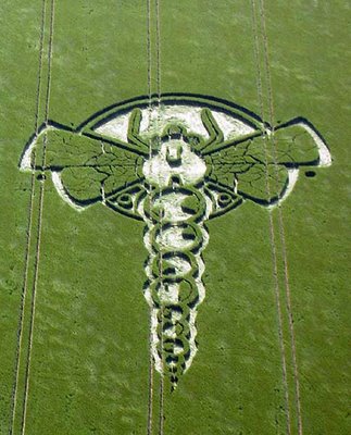 crop circle 2009 Little London nr Yatesbury Wiltshire  Reported 3rd June