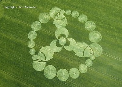 crop circle 3 fish