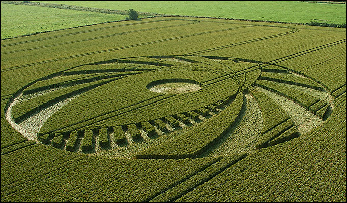 crop circle 846354a