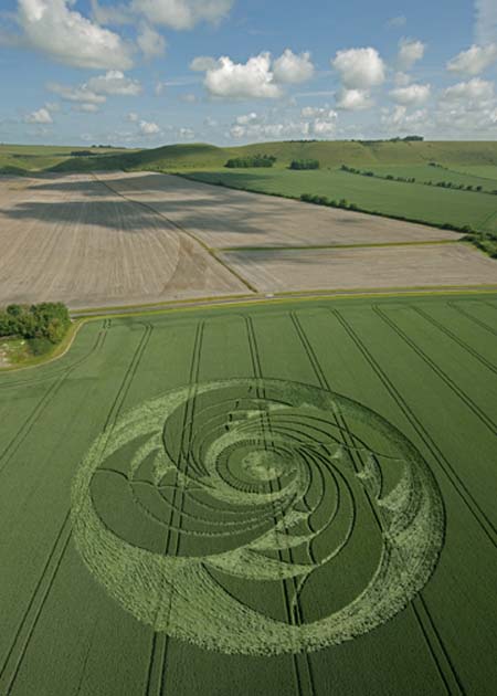 crop circle Alton Priors 4wing-swirl 3