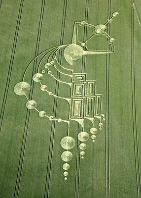 crop circle Below Milk Hill near Alton Barnes Wiltshire 20090621