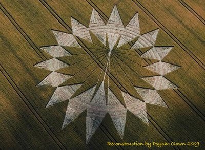 crop circle Near Allington Wiltshire 20090710